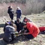 7. Collective creation of land art 7. Collective creation of land art